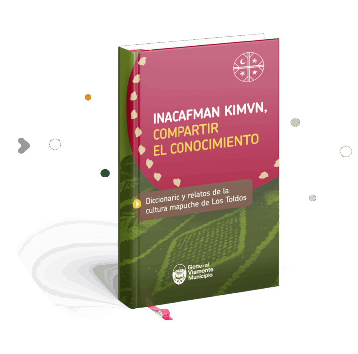 Portada libro diccionario mapuche